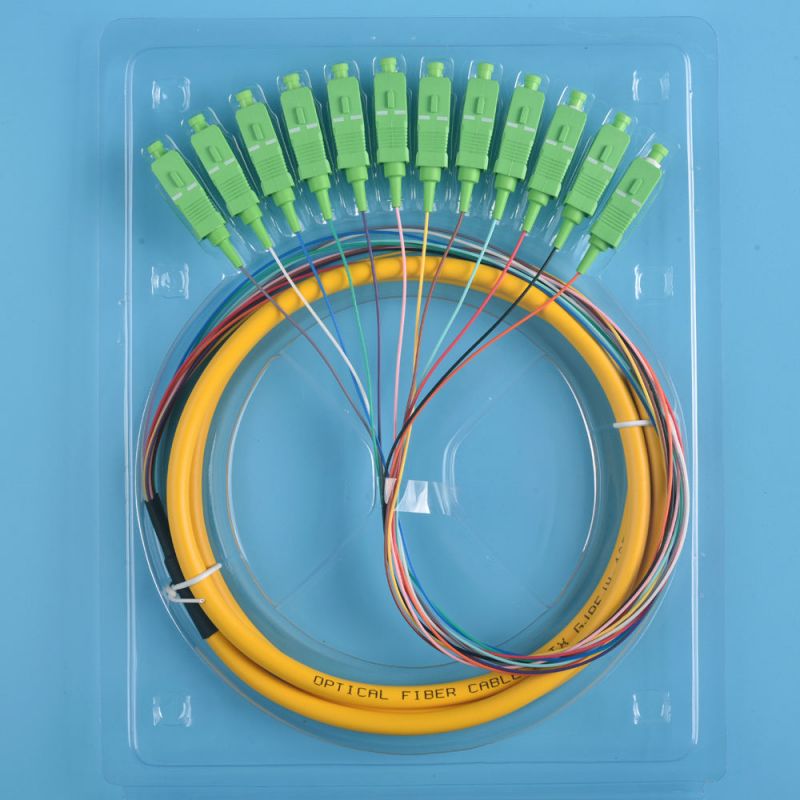 Fiber optic pigtail sc apc sc-apc patch cord pigtail 12 core sc/apc